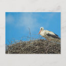 Pesquisar por cegonhas cartoes postais Natureza