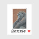 Pesquisar por gorilla adesivos Macaco