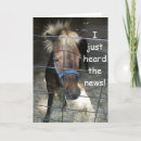 Pesquisar por família louca cartoes Amigo