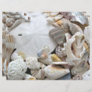 Pesquisar por dólar artesanato material Qualquer pessoa