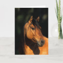 Pesquisar por mustang cartoes Foto