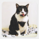 Pesquisar por lingua adesivos Face