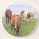 Pesquisar por pasto porta copos Animal