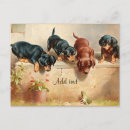 Pesquisar por arte do dachshund cartoes postais Animais