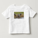 Pesquisar por amphibius camisetas África