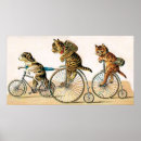Pesquisar por bicycle pôsteres Animals