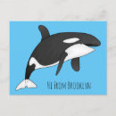 Pesquisar por desenho da baleia cartoes postais Orca
