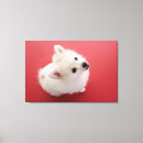 Pesquisar por tapete impressão de canvas Animal