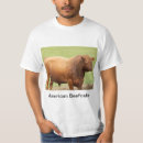 Pesquisar por vaqueiro americano camisetas Gado