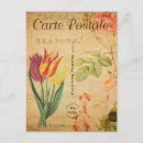 Pesquisar por desenho tulipa cartoes postais Tulipas