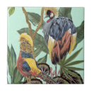 Pesquisar por paraíso azulejos Tropical