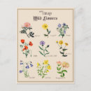 Pesquisar por victorian cartoes postais Flor