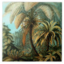 Pesquisar por cenário azulejos Palmeira