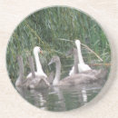 Pesquisar por ciganos porta copos Cisnes