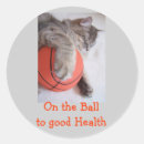 Pesquisar por especialista adesivos Legal