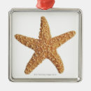 Pesquisar por metal ornamentos Animal
