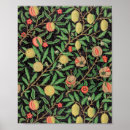 Pesquisar por desenhos frutas pôsteres Vintage