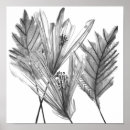 Pesquisar por silhueta pósteres pôsteres Silhuetas