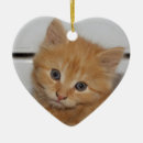 Pesquisar por fofinho ornamentos Gatinhos