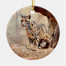 Pesquisar por nebuloso ornamentos Fotografia