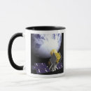 Pesquisar por conceito canecas Órbita