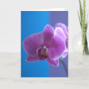 Pesquisar por cumprimento da orquídea For her