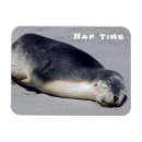 Pesquisar por folga imas Relaxamento