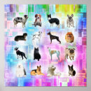 Pesquisar por eu amo cães pósteres pôsteres Animais de estimação