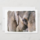 Pesquisar por elephant convites Animais