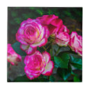 Pesquisar por vermelho brilhante azulejos Flores