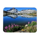 Pesquisar por dia da pascoa cartoes Fotografia