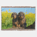 Pesquisar por do dachshund para mantas For her