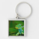 Pesquisar por iguana verde chaveiros Natureza