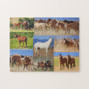 Pesquisar por foto do cavalo quebra cabecas Animais