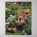 Pesquisar por yorkshire terrier pôsteres Animais