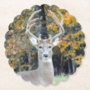 Pesquisar por antler porta copos Cervos