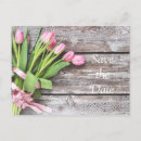 Pesquisar por tulipa cor de rosa bonito Moderno