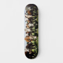 Pesquisar por fazendas skates Vaca