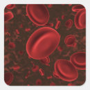 Pesquisar por anatomia humana adesivos Corpo humano