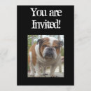 Pesquisar por buldogue inglês convites Engraçado