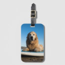 Pesquisar por surf bagagem tags Mar