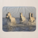 Pesquisar por cavalos mantas Qualquer pessoa