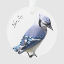 Pesquisar por jay ornamentos Vida selvagem