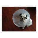 Pesquisar por mestrado cartoes Engraçado