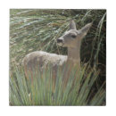 Pesquisar por vestidos azulejos Bonito