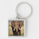 Pesquisar por elefante africano chaveiros Dia