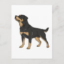 Pesquisar por cão rottweiler cartoes postais Cães
