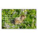 Pesquisar por monte cartao de visita Vida selvagem