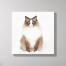 Pesquisar por gatos bonitos impressão de canvas Natureza