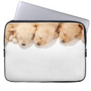 Pesquisar por golden capas Dog